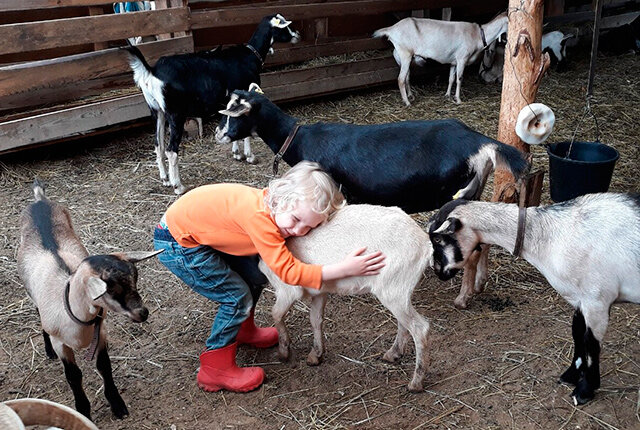 В  Саратовской области заключили шесть тысяч социальных контрактов