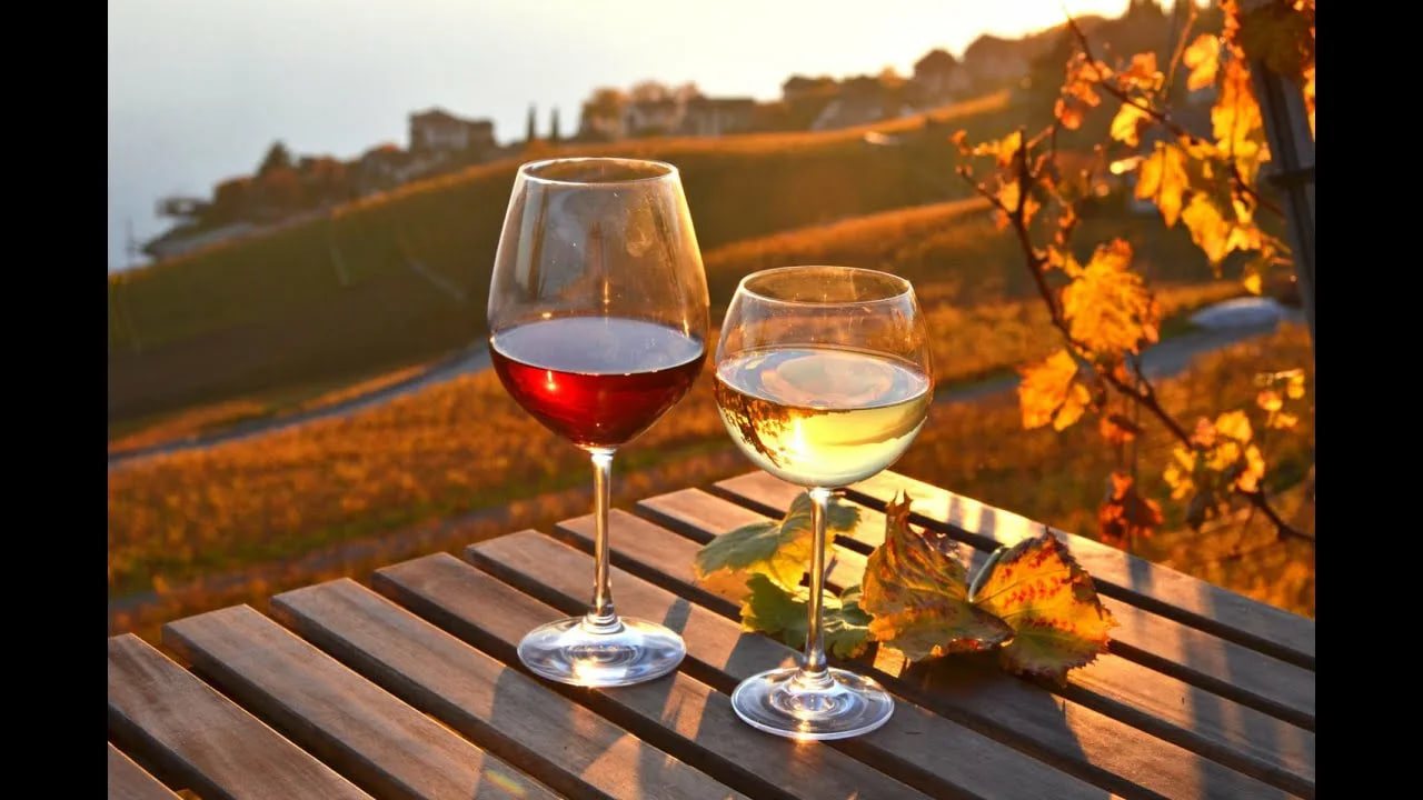 В Роскачестве назвали лучшие российские красные и белые вина