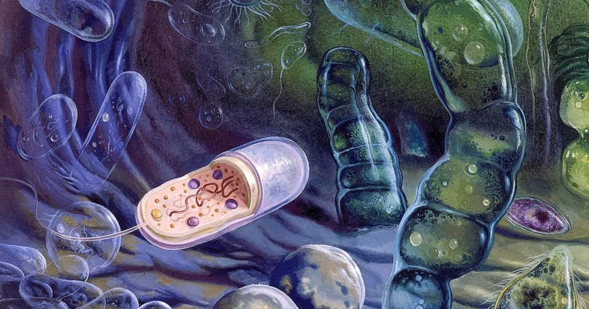 Искусственный интеллект нашел самую древнюю жизнь на Земле