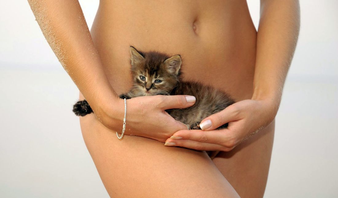 «Волосатый бум»