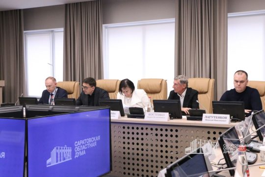 Для инвесторов в Саратовской области хотят предложить новые налоговые льготы