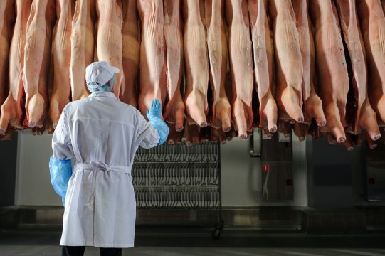 С октября в России продолжается падение цен на свинину