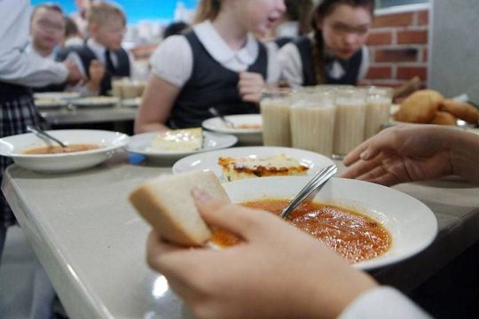 В Саратовской области с 2026 года школьники будут кушать бесплатно