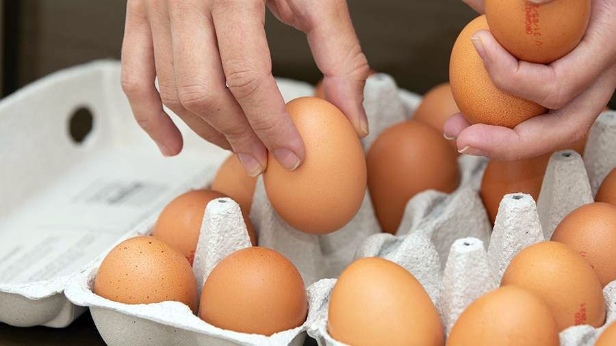 Регионы России ранжировали по объёмам производства куриных яиц