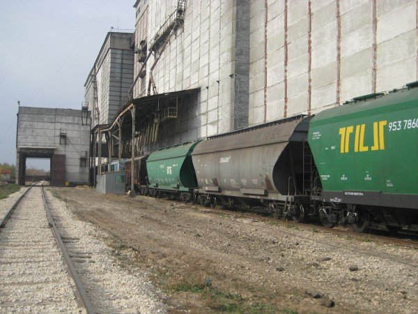 Генеральному директору АО «Екатериновский элеватор» прокуратура вынесла предупреждение