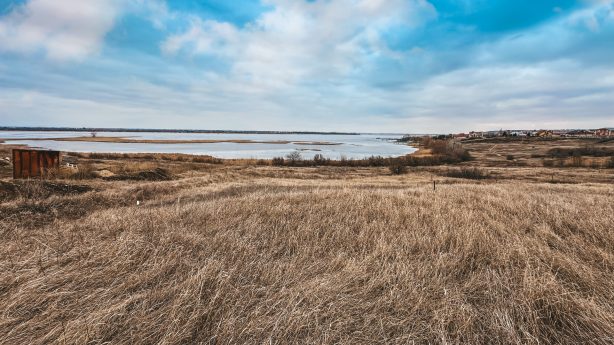 Россельхознадзор обнаружил заросшие сельхозучастки в Усть-Курдюме