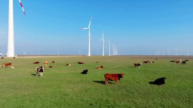 Силой ветра