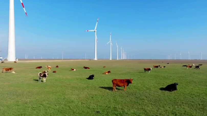 Силой ветра