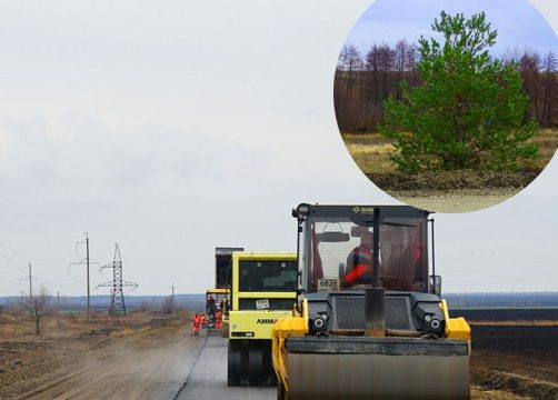 Самая «новогодняя» дорога ведет к селу Озерное в Аткарском районе