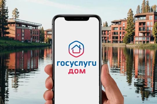 Всего 8.53% жителей области пользуются приложением «Госуслуги.Дом»